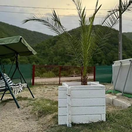 캠프장 Cabanutele La Denisa