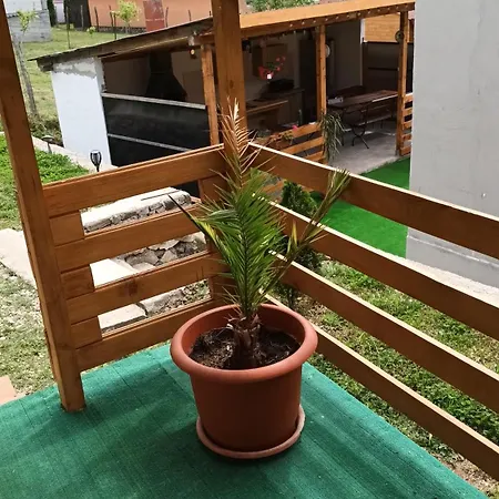 Cabanutele La Denisa 두보바