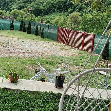 캠프장 Cabanutele La Denisa